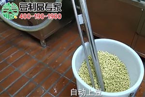 300型豆坊專用豆腐機工作現場